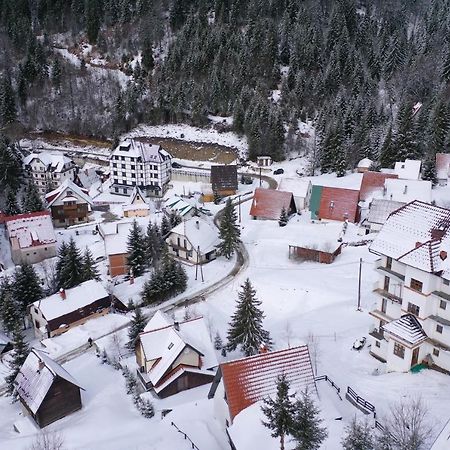 Apartment Petrovic Kopaonik Eksteriør billede