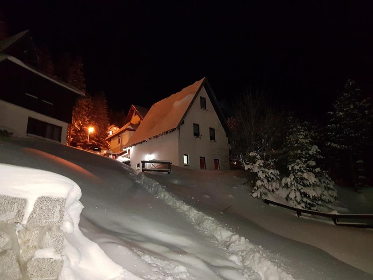 Apartment Petrovic Kopaonik Eksteriør billede